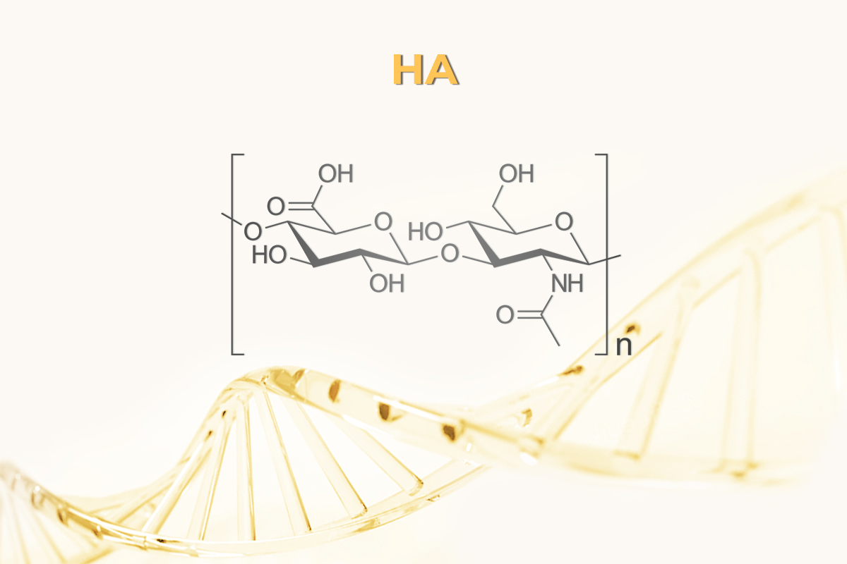 Hyaluronic acid