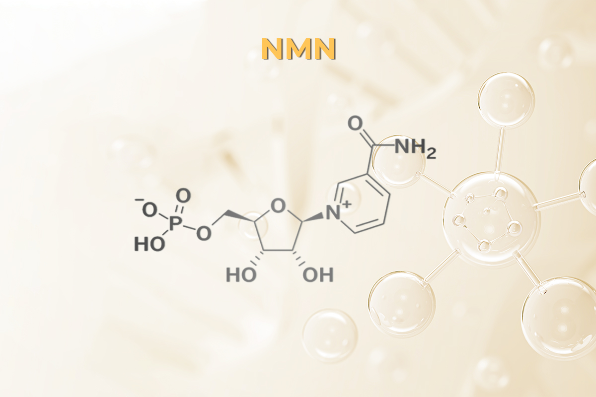 Nicotinamide Mononucleotide (NMN)